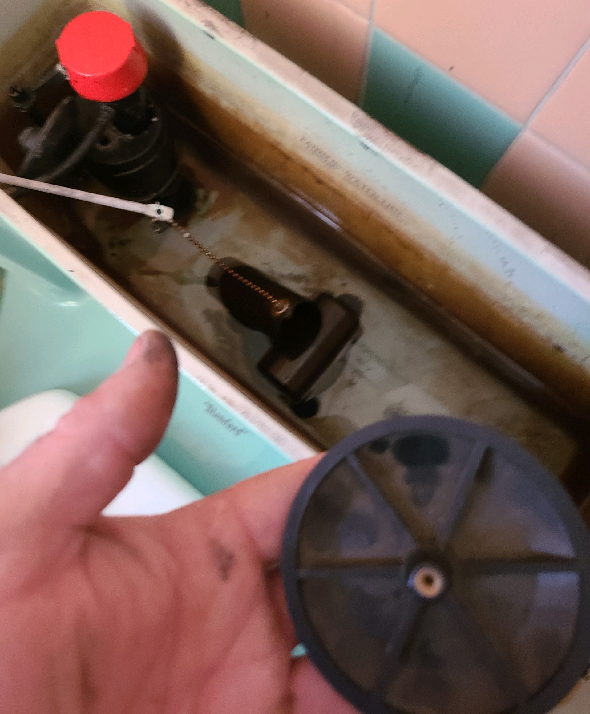 American Standard Screw on Disc Noels Plumbing Supply