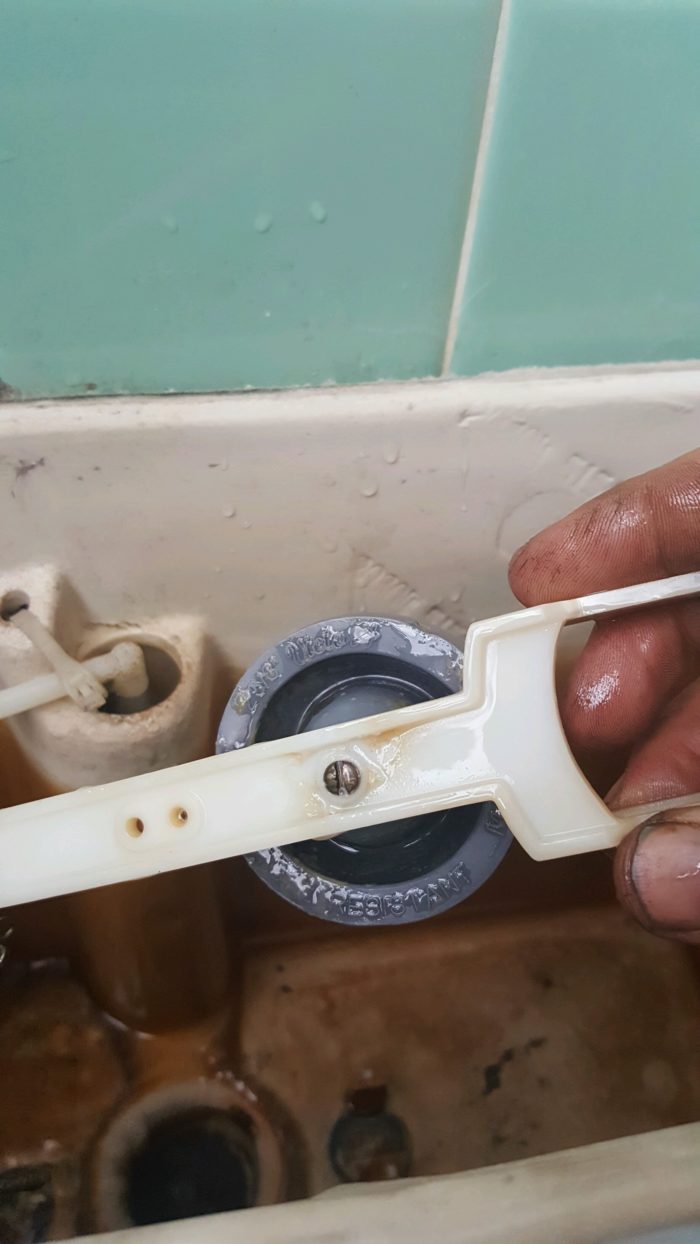 Toilet Flapper Universal Terry Love Plumbing Advice & Remodel DIY