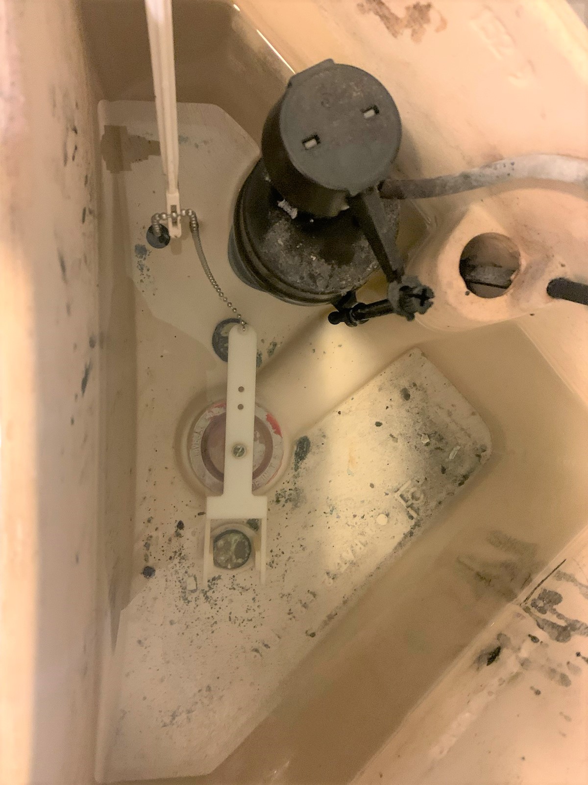 JAG PLUMBING PRODUCTS Touch Flush Toilet Lever Assembly, Fits Eljer-18-049 - The Home Depot