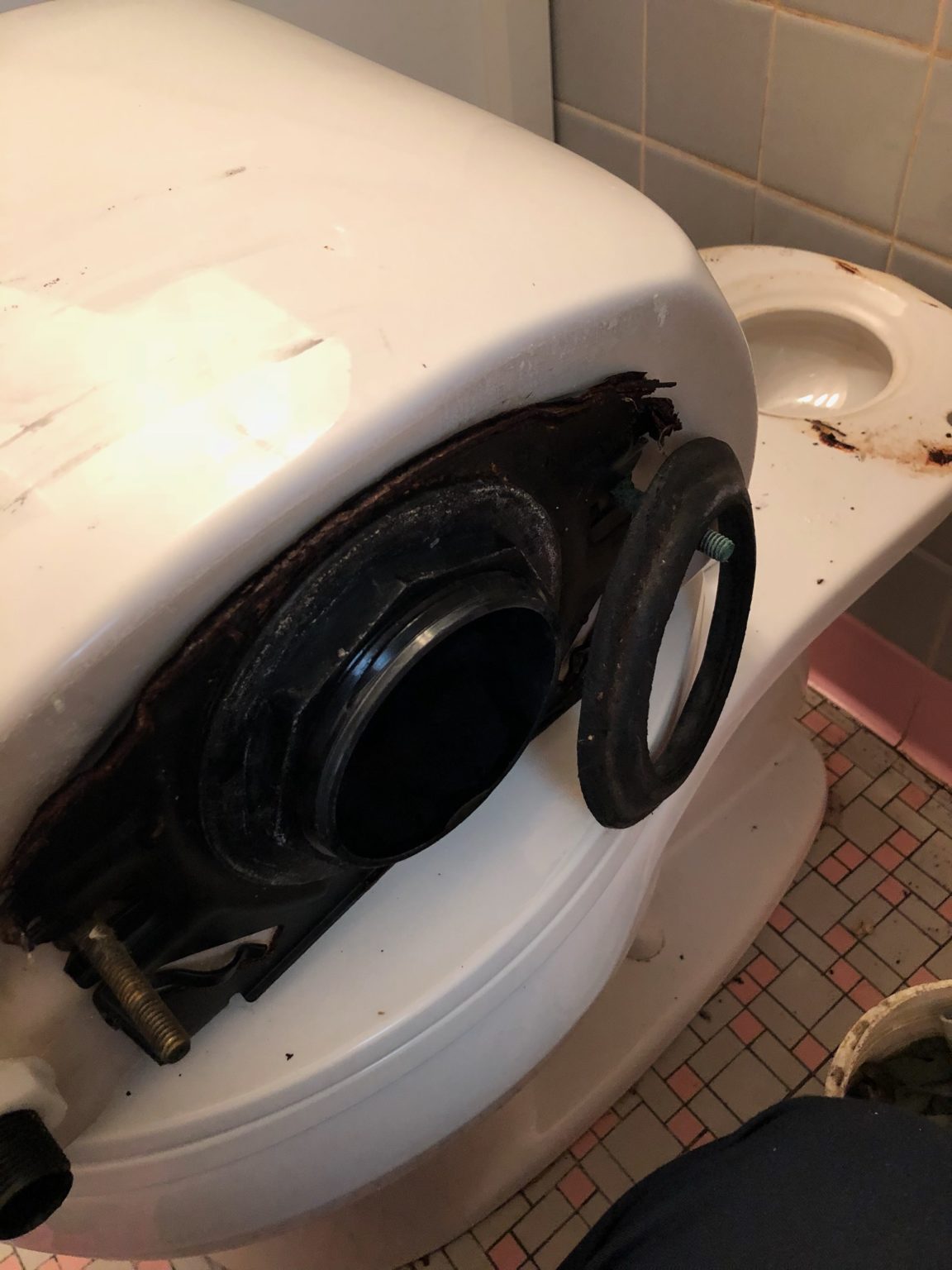 How To Change A Toilet Bowl Gasket at Suzette Shea blog