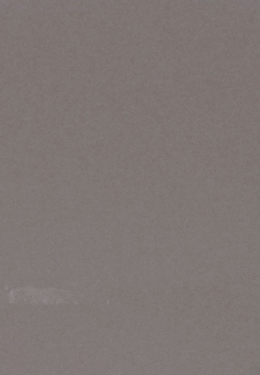 American Standard Rise and Shine 5324.019 Classic Mink Elongated Toilet Seat - Image 2