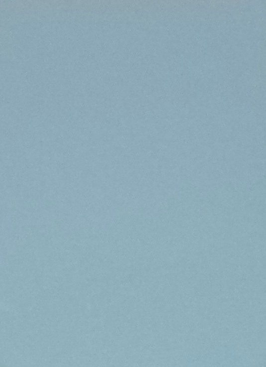 American Standard Rise and Shine 5324.019 Classic Turquois Elongated Toilet Seat - Image 2