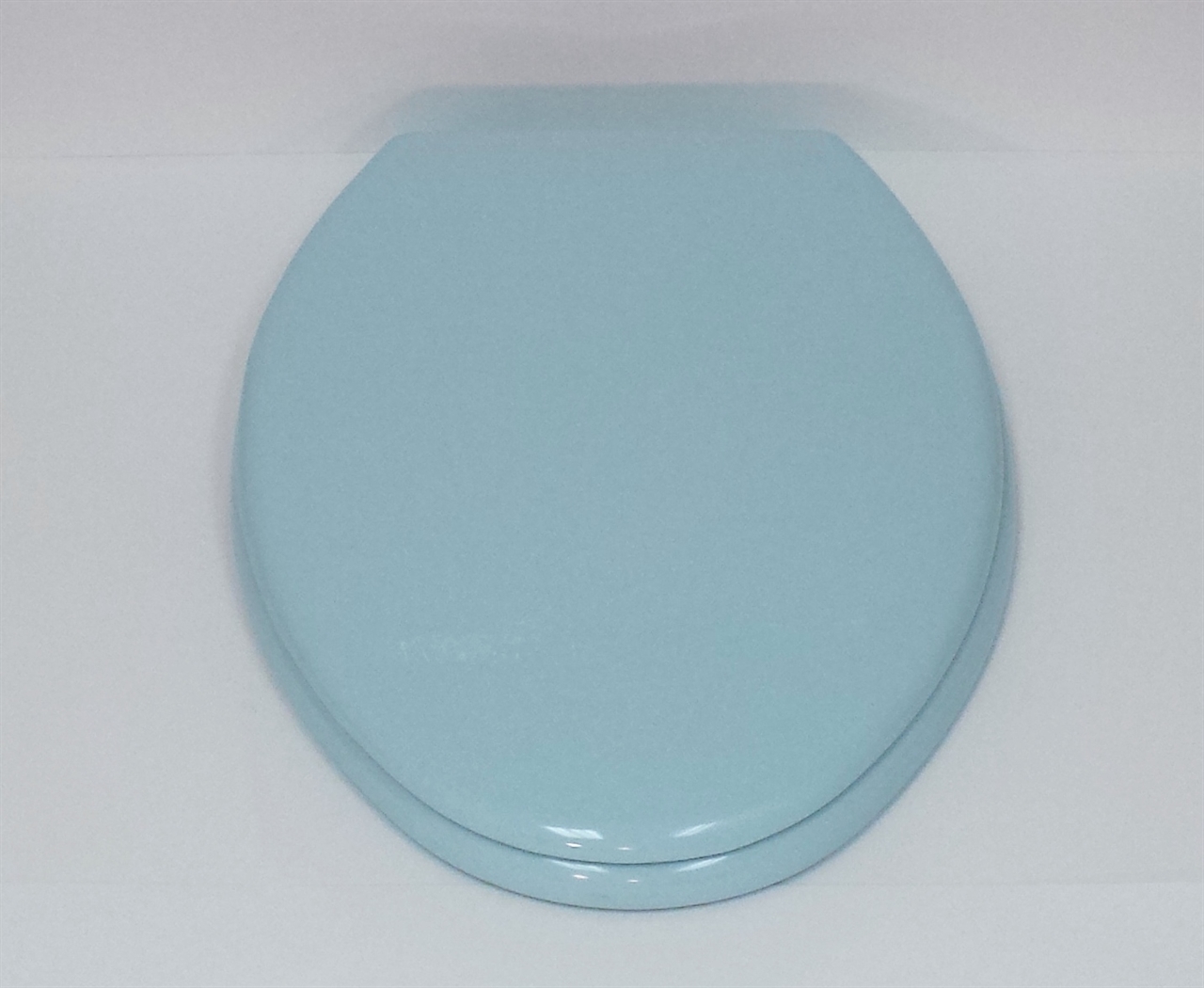 American Standard Rise and Shine 5324.019 Light Turquoise Elongated