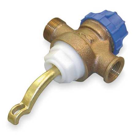 Bradley S07-066 Complete Foot Valve