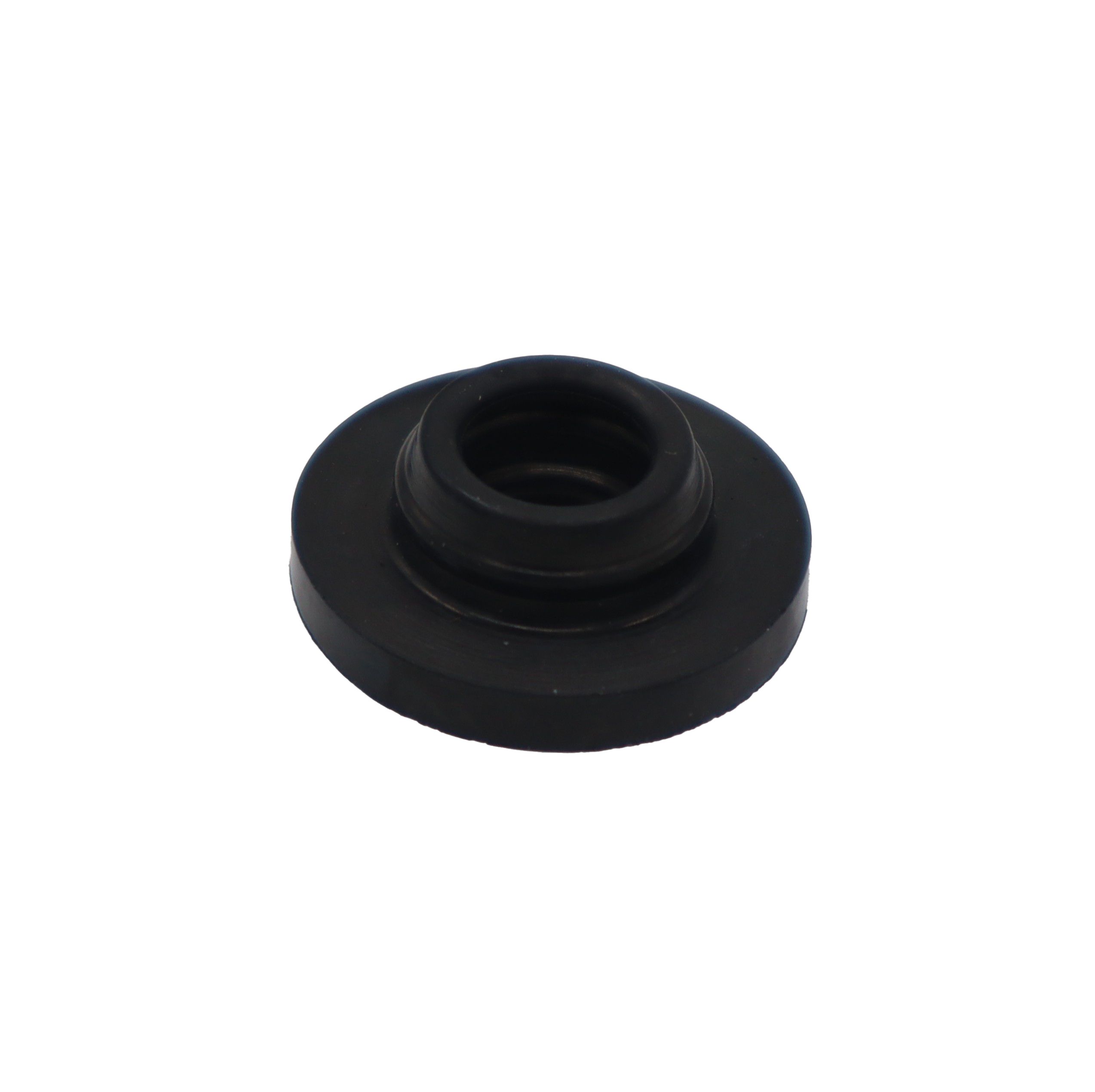 Black rubber washer.