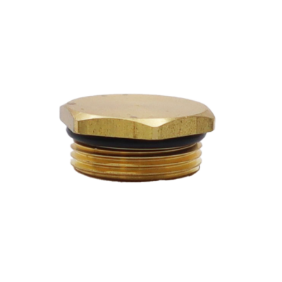 Bright brass plug with black rubber o-ring.