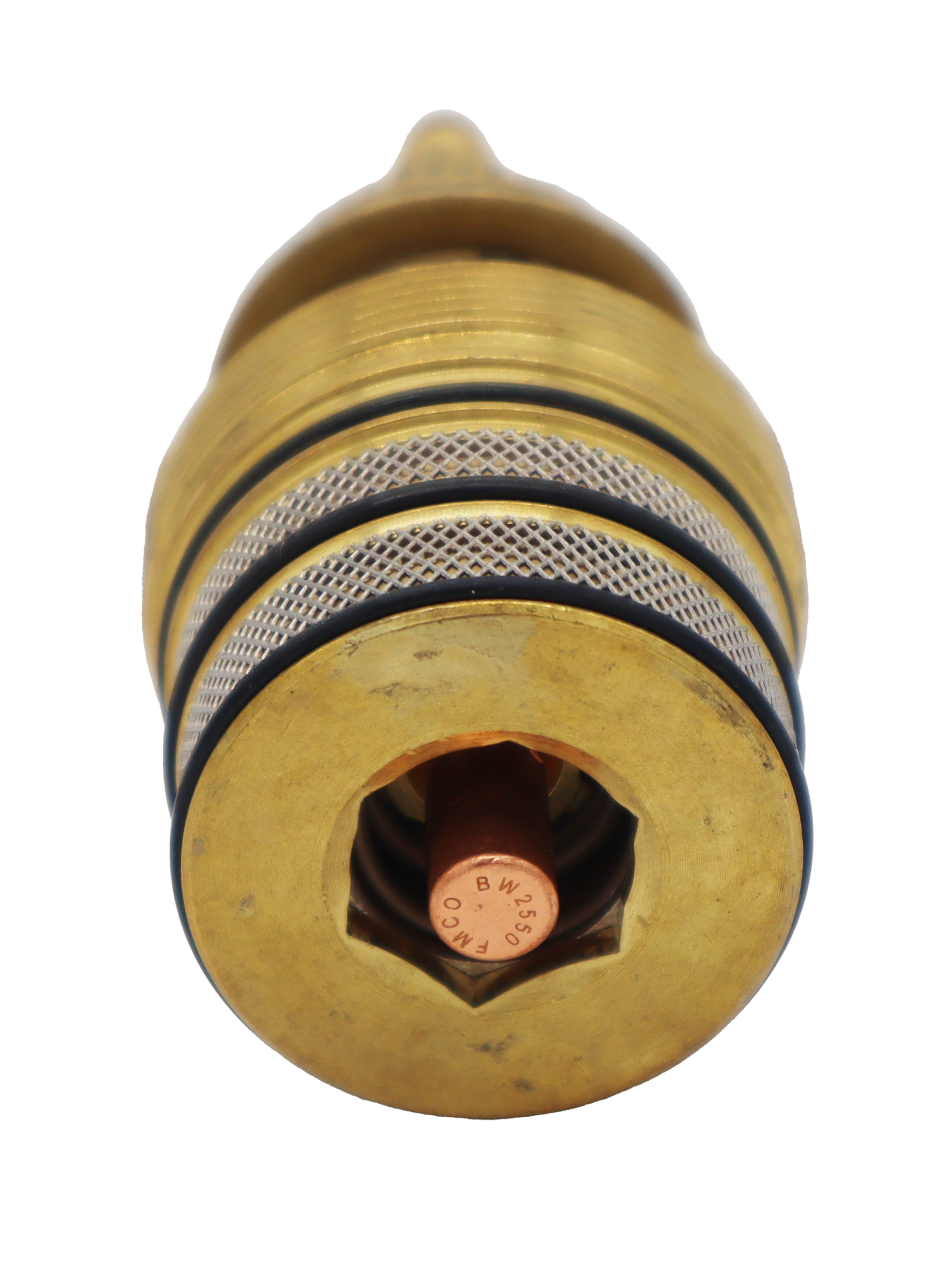 Bright brass cartridge with metal c clip black rubber o-rings stainless screen and copper thermo.
